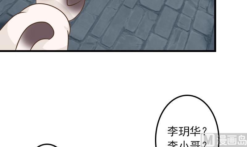 第11话 本命只爱小鱼干20
