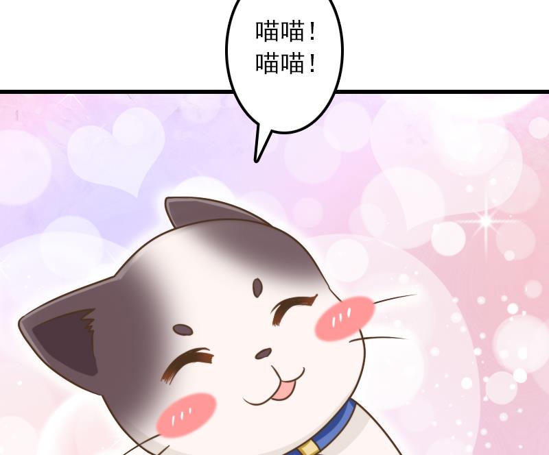 第11话 本命只爱小鱼干27