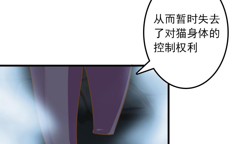 第11话 本命只爱小鱼干33