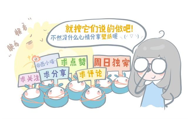 胖胖的爱#3 兔圆篇16