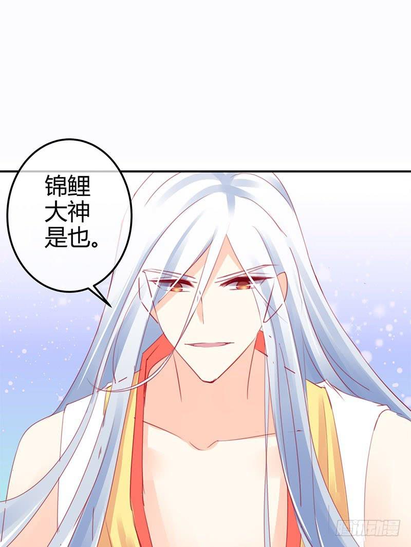 神晕（碰）倒（瓷）？14