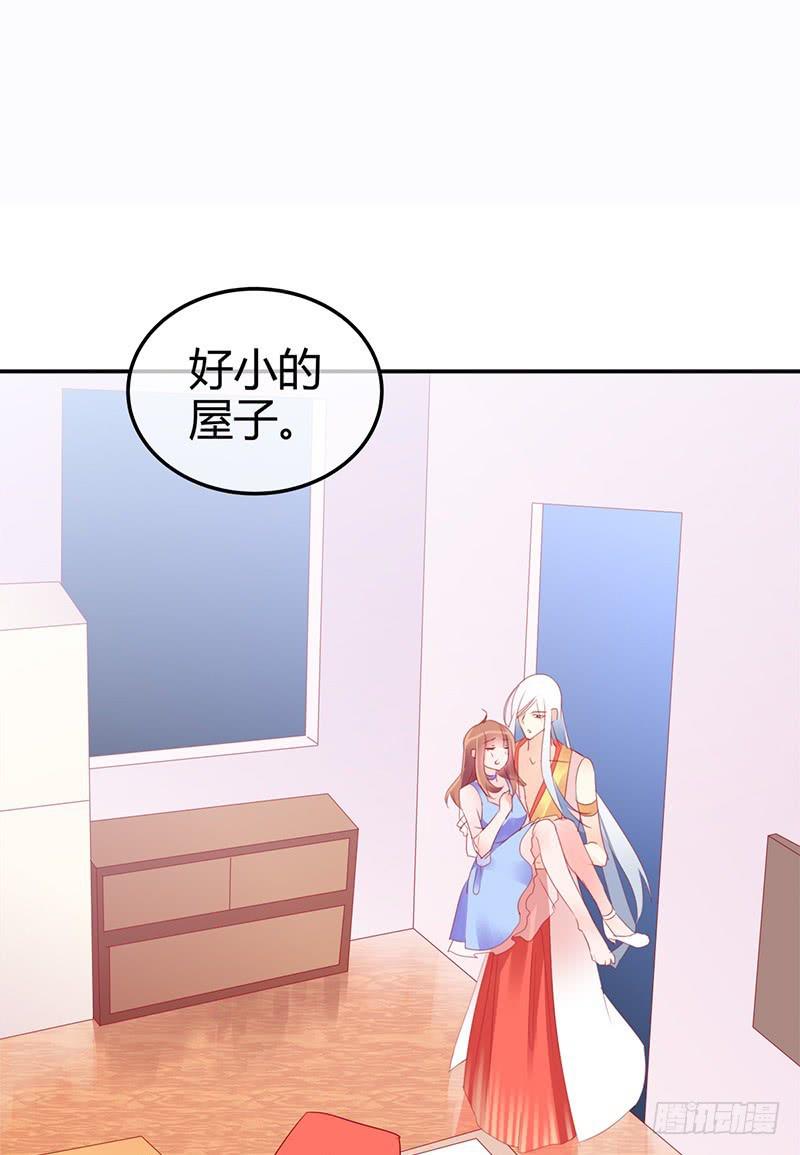 神晕（碰）倒（瓷）？3