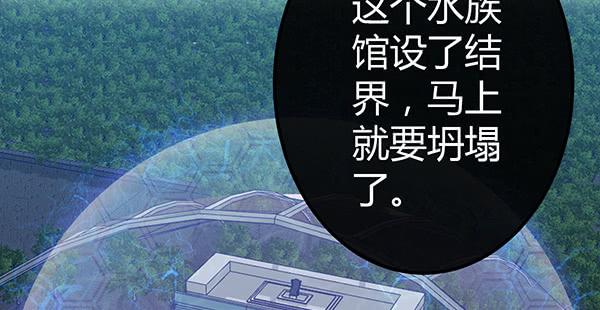 9块9包邮哦亲~51