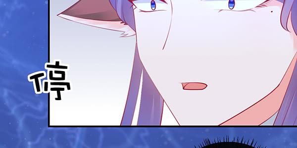 9块9包邮哦亲~70