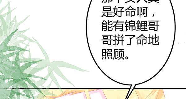 抉择24
