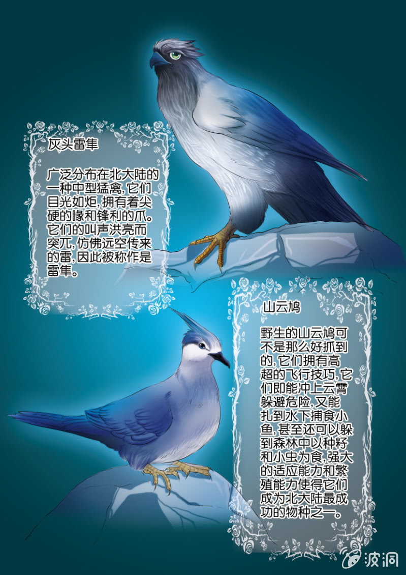 第一回11