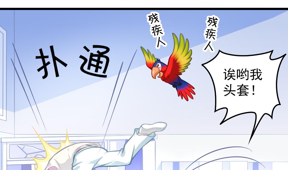 第052话 可爱的小鹦鹉12