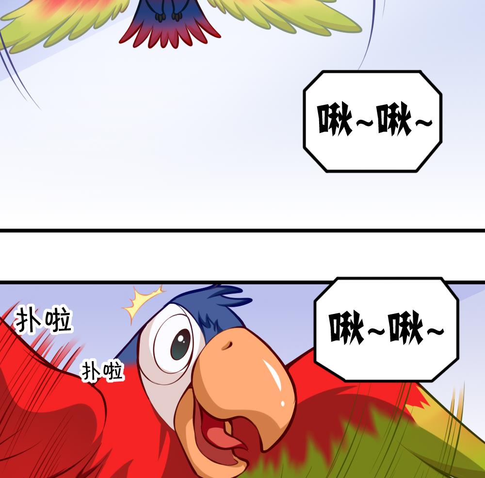第052话 可爱的小鹦鹉31