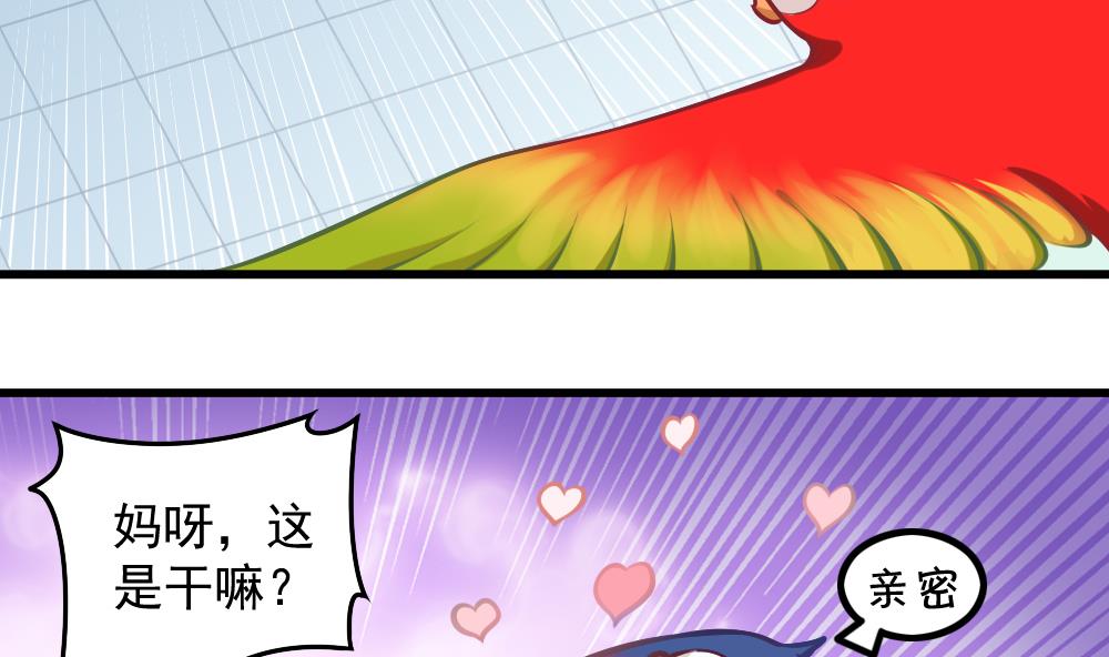 第052话 可爱的小鹦鹉34