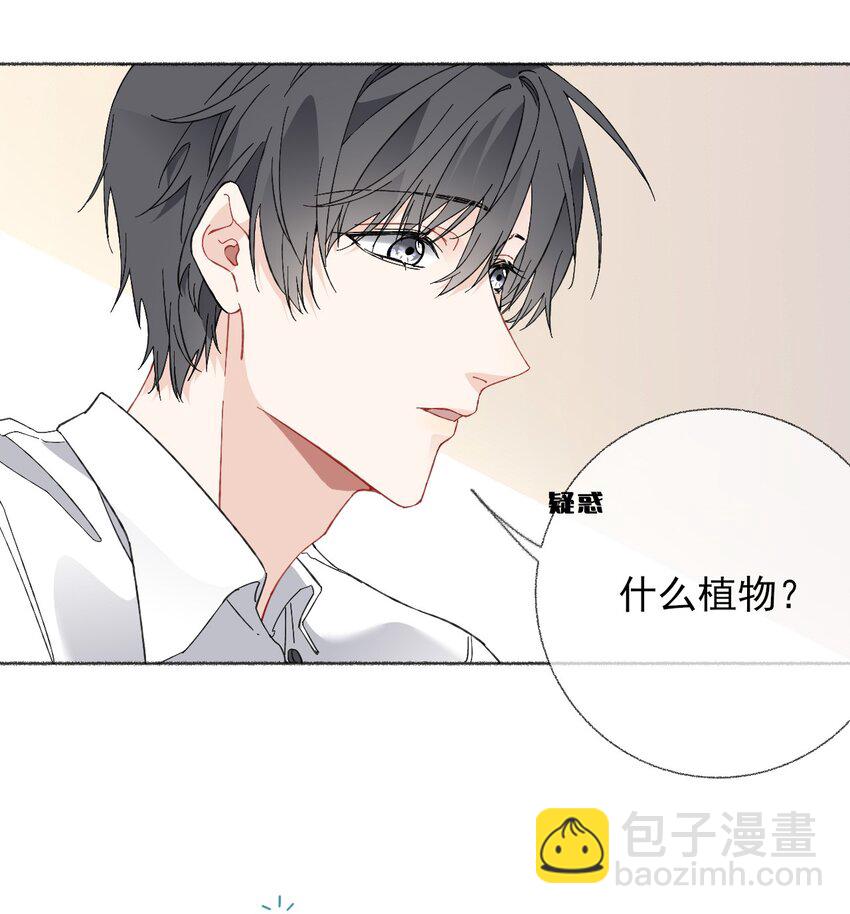 024 我会变成一棵植物35
