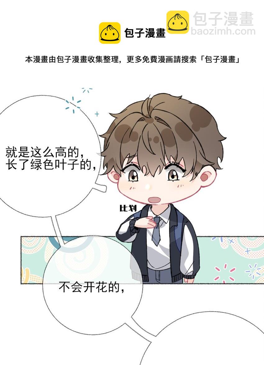 024 我会变成一棵植物36