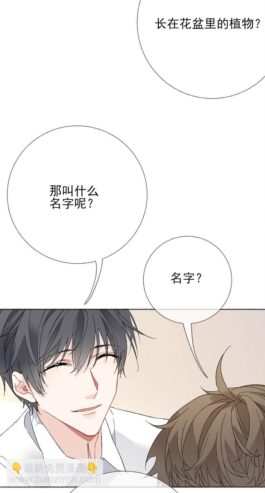024 我会变成一棵植物37
