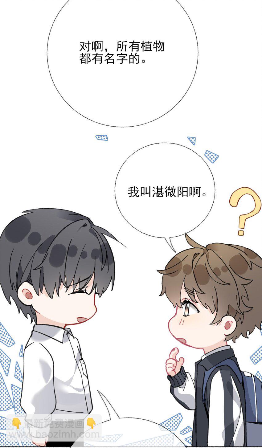 024 我会变成一棵植物38