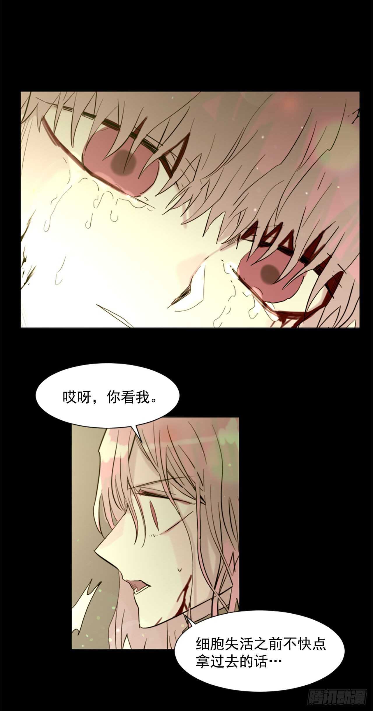34.M的诞生25