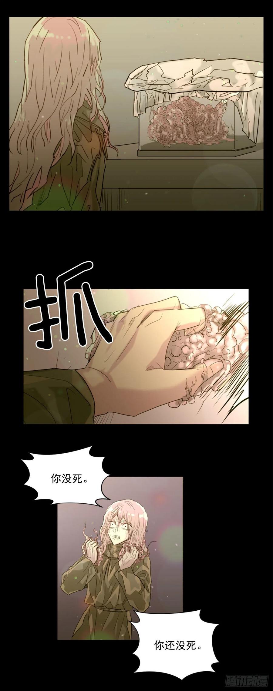 44.奇迹11