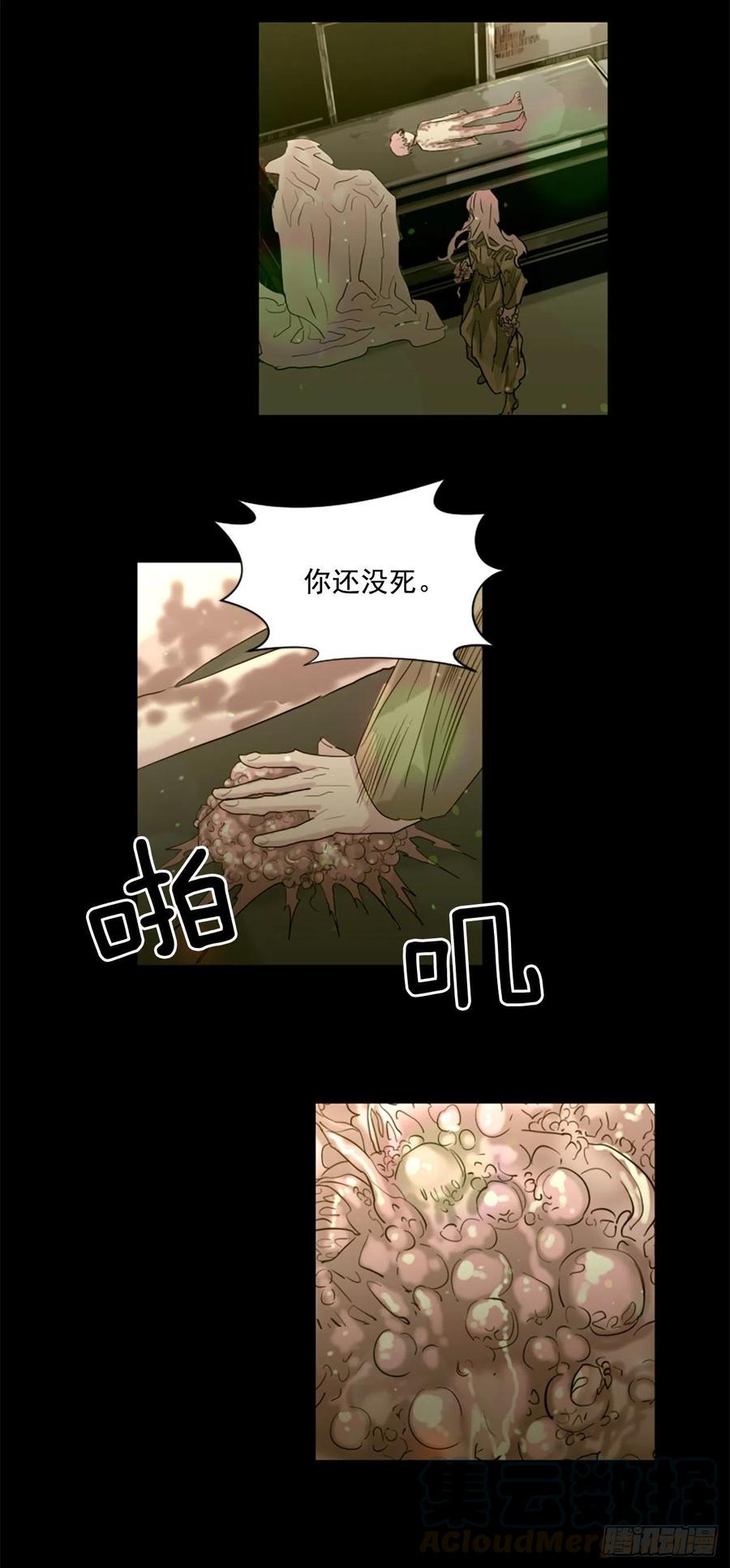44.奇迹12