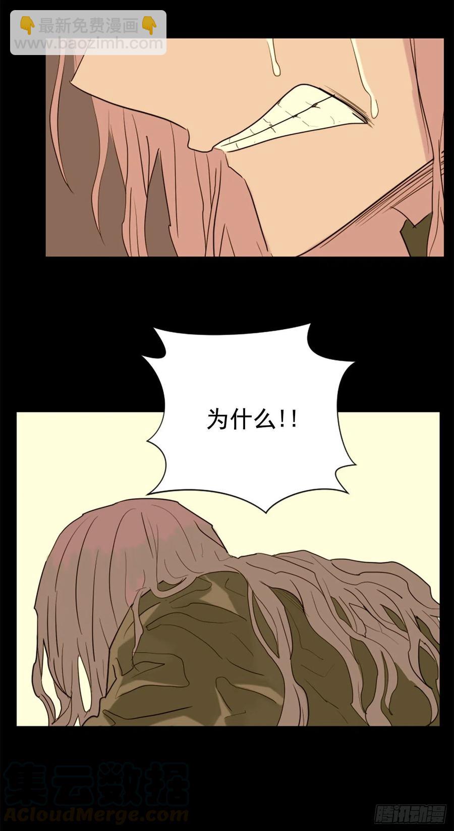 44.奇迹16