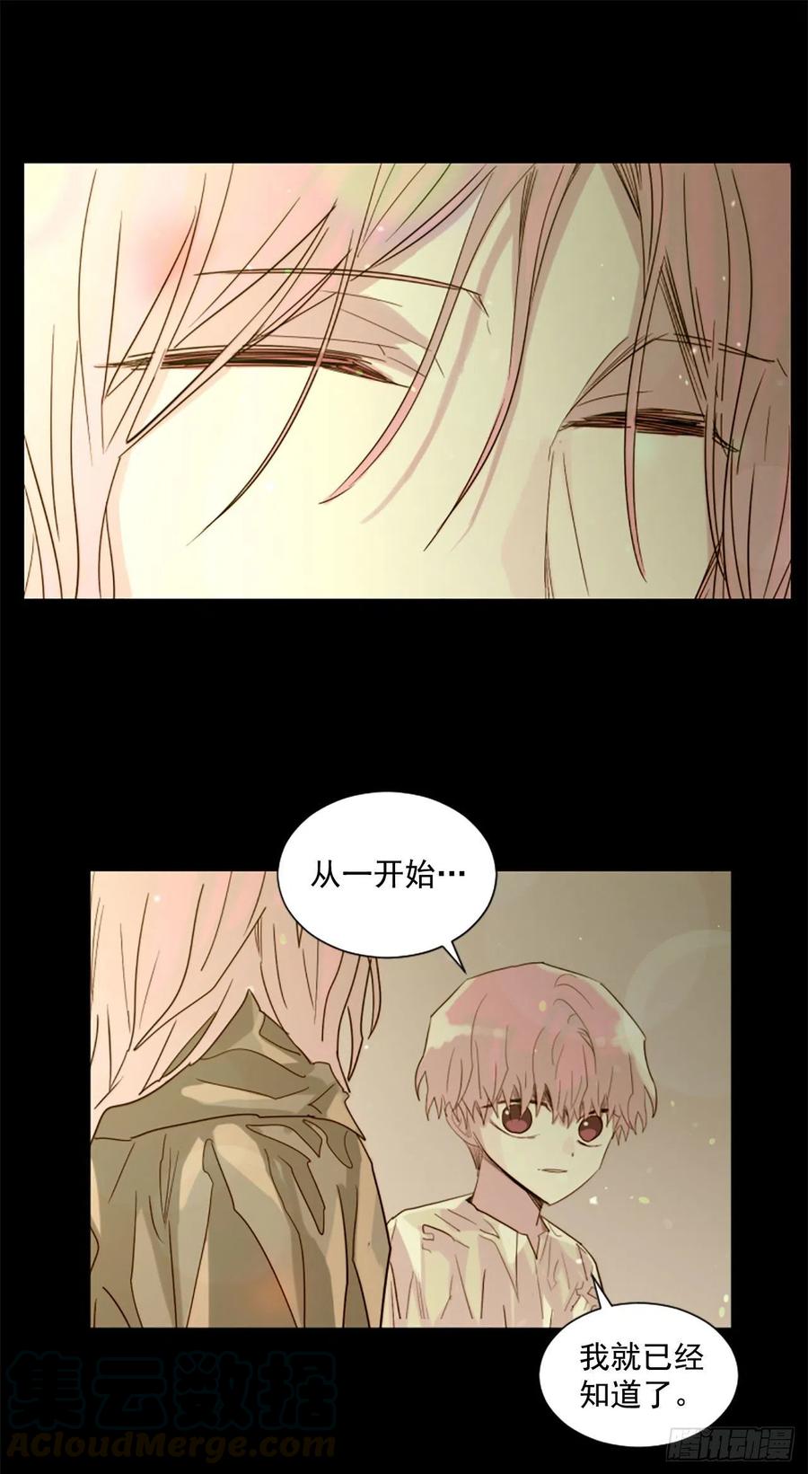 51.从未爱过你26