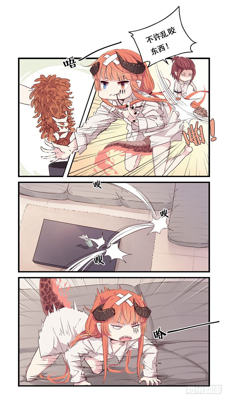 25：熊九九2