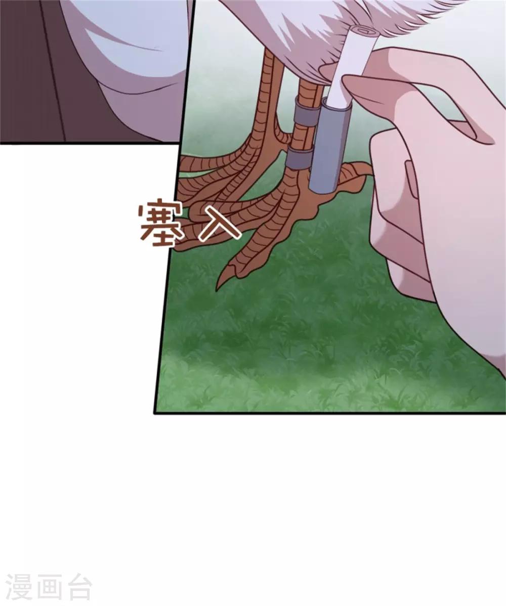 第37话 未婚夫和鸽子的秘密17