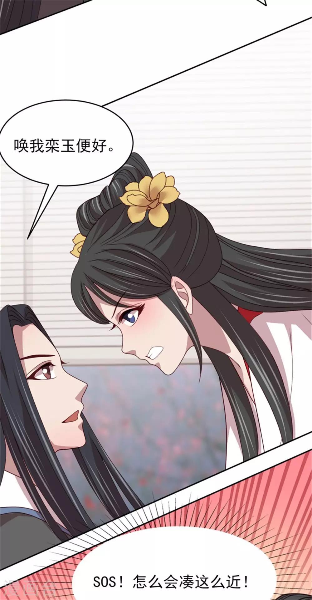 第51话 婚契条例8