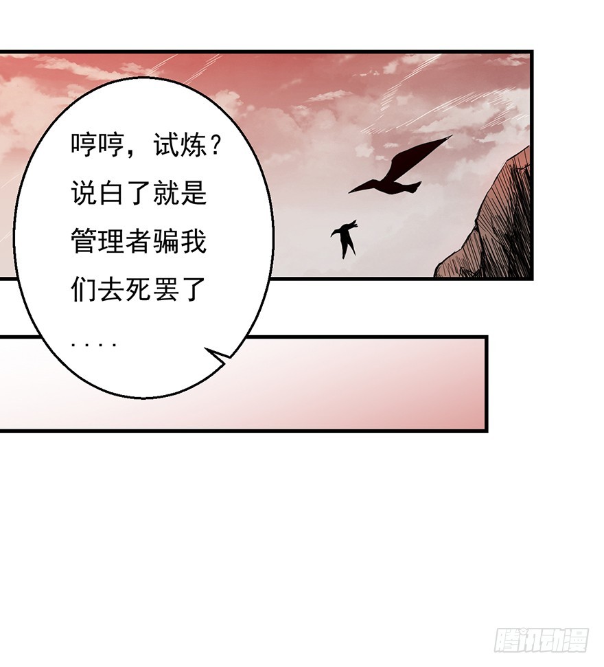 037三个选择18