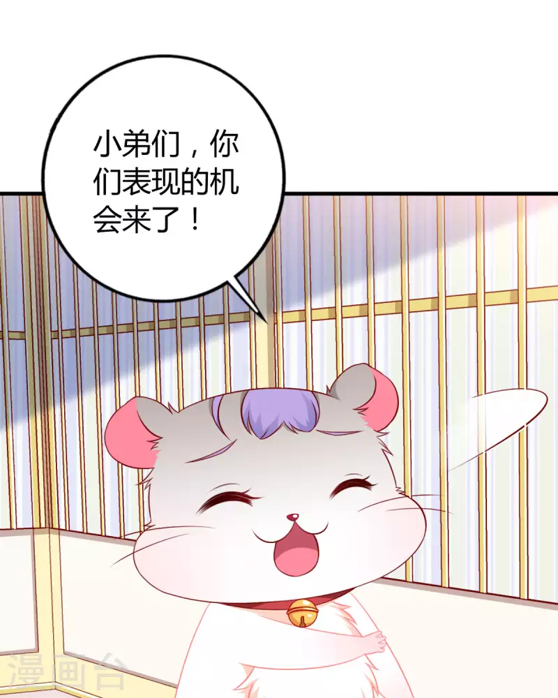 第8话 谁的裤腰带14
