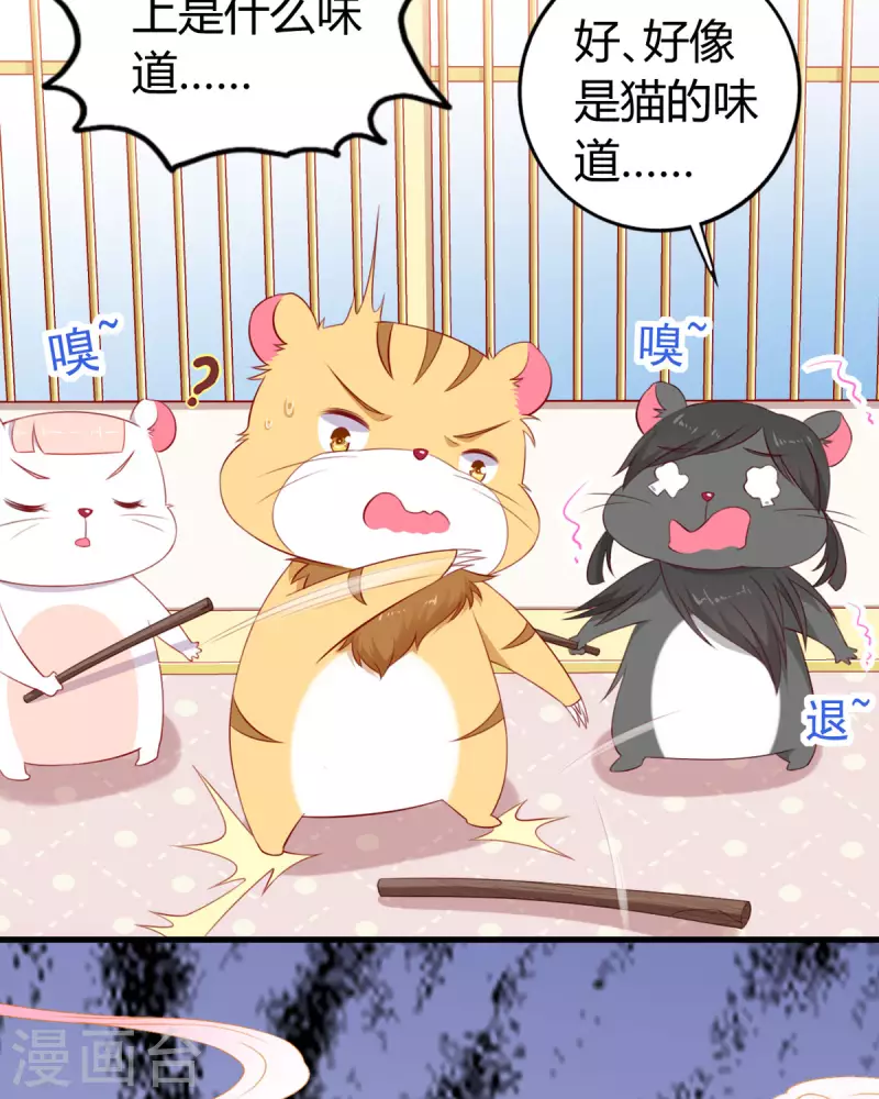 第8话 谁的裤腰带4