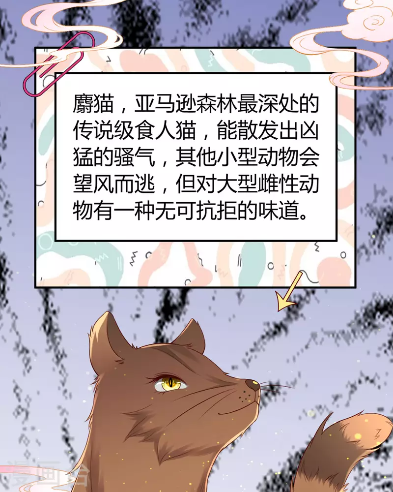 第8话 谁的裤腰带5