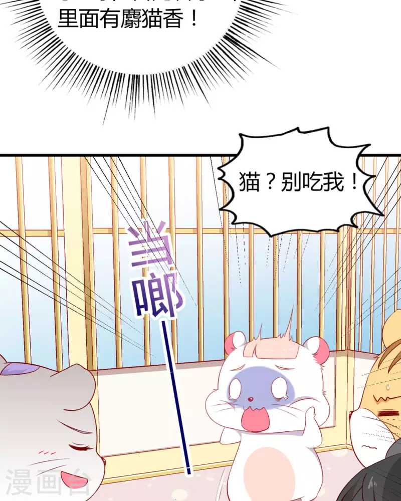 第8话 谁的裤腰带7