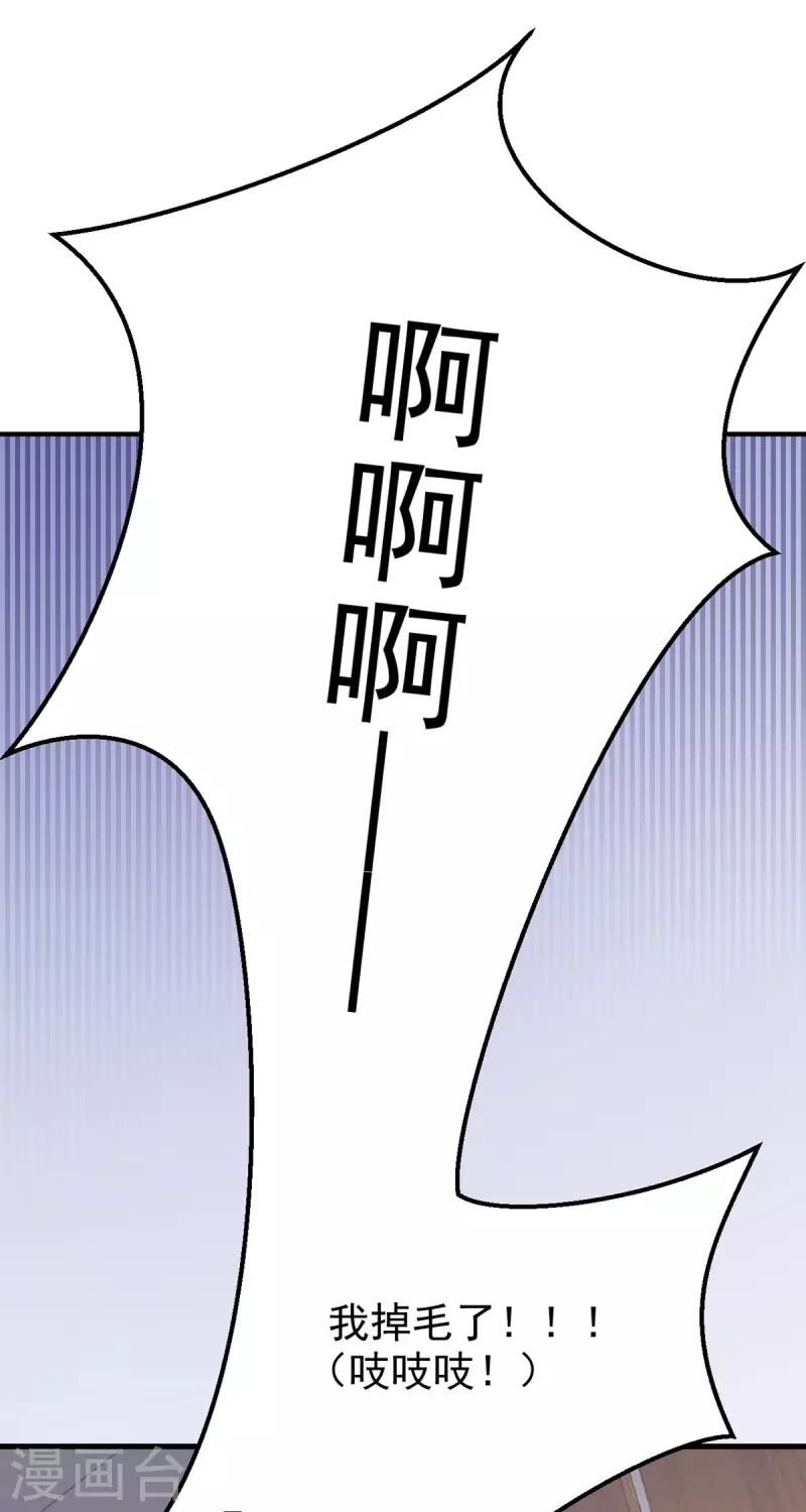 第33话 掉毛17