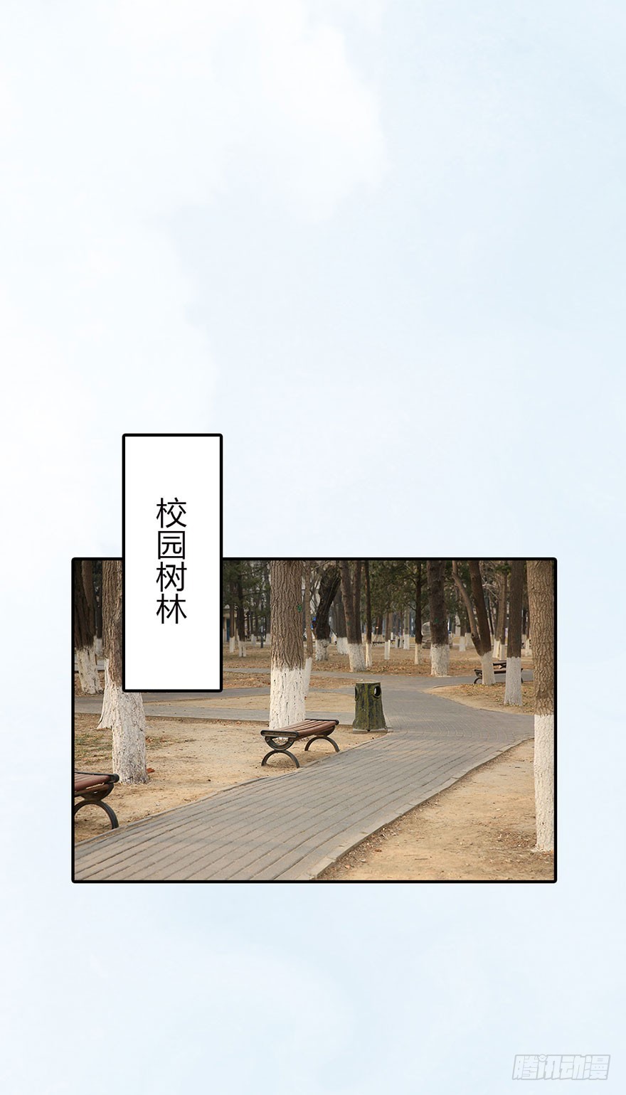 竹影，别走31