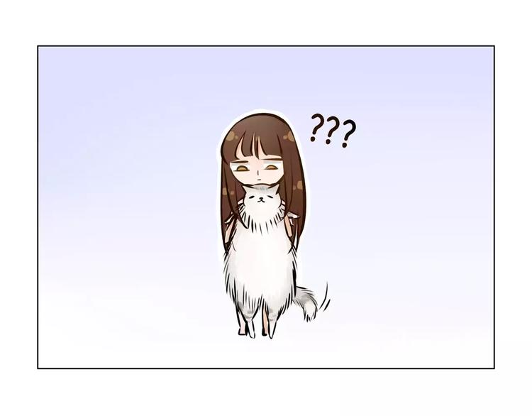 第3话 二当家的101