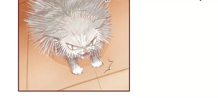 第3话 二当家的22