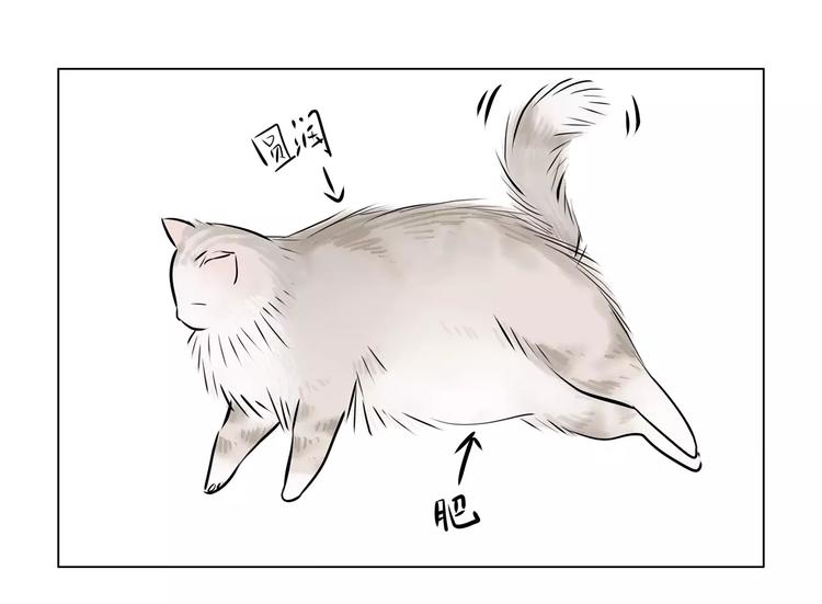 第3话 二当家的99