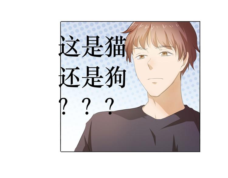 第34话 不就跳个墙吗！7