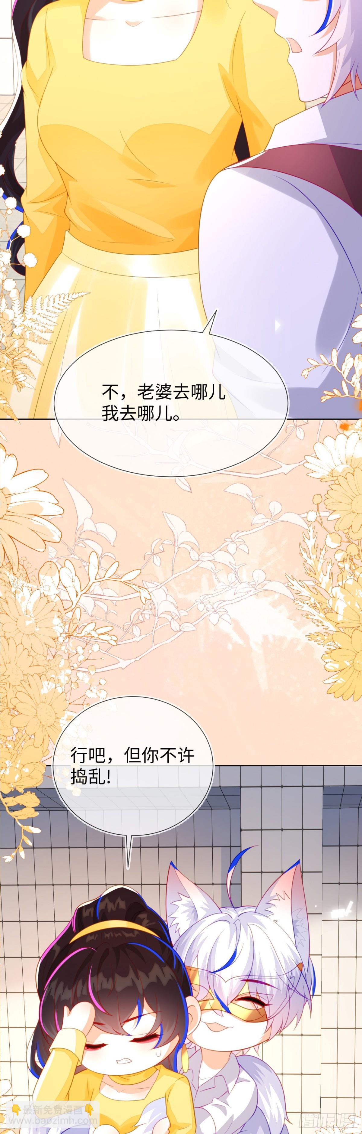 安妮的匹配对象17