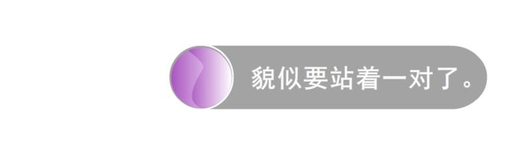 第15话 是你们女人太作！5