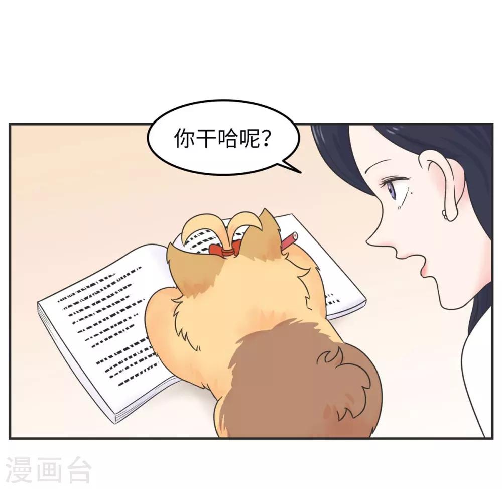 第15话 四六级，大战在即！29