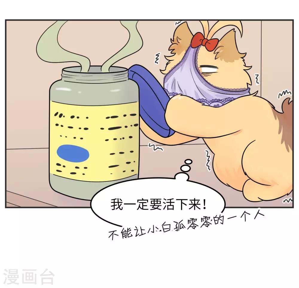 第20话 蚂蚁花的就让蚂蚁还30