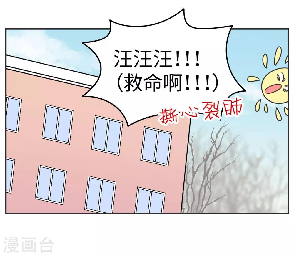 第20话 蚂蚁花的就让蚂蚁还4