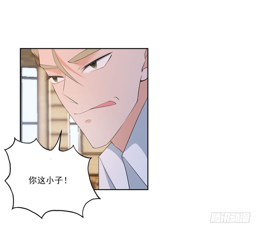 23.环以小泰迪18