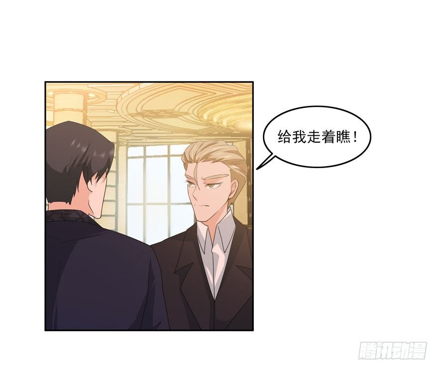 23.环以小泰迪21