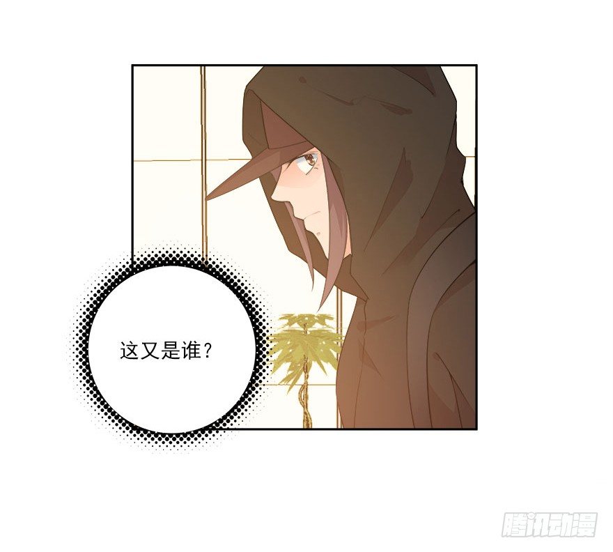 28.跟踪17