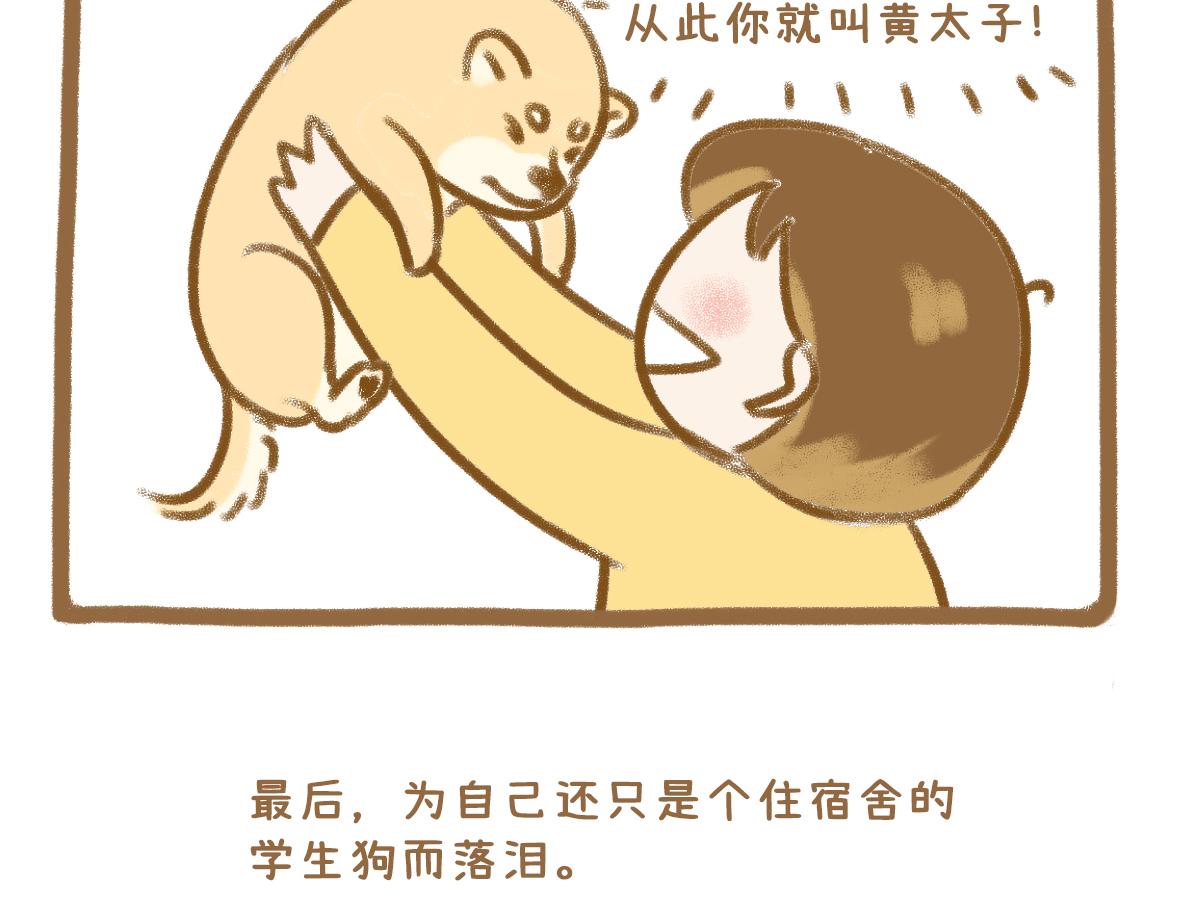 当你的好朋友成为情侣16