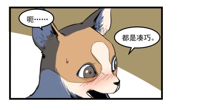 她就要变成狗了23