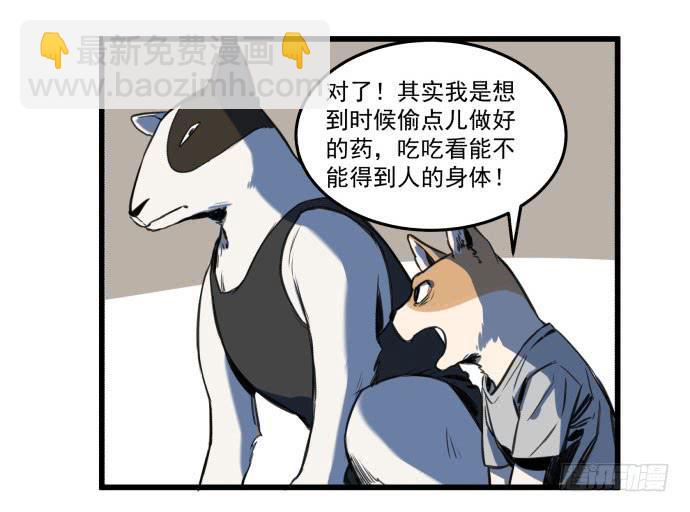 她就要变成狗了24