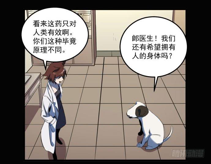她就要变成狗了35
