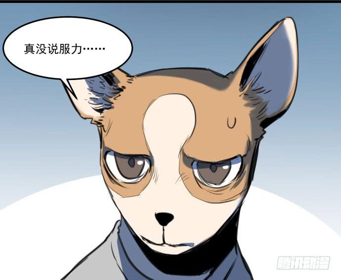 她就要变成狗了41