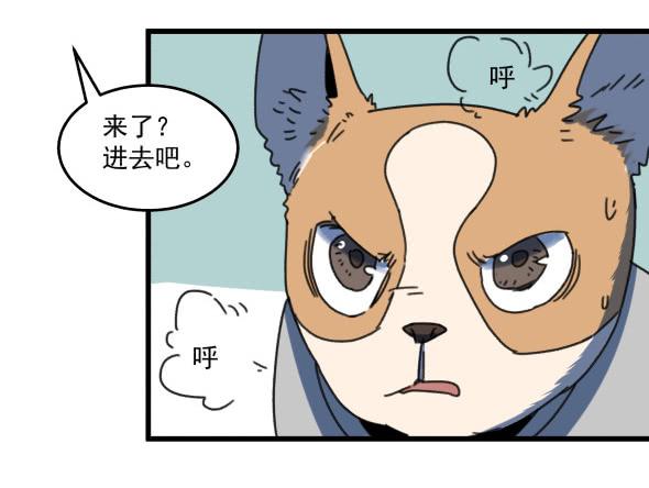 以后我罩着你13